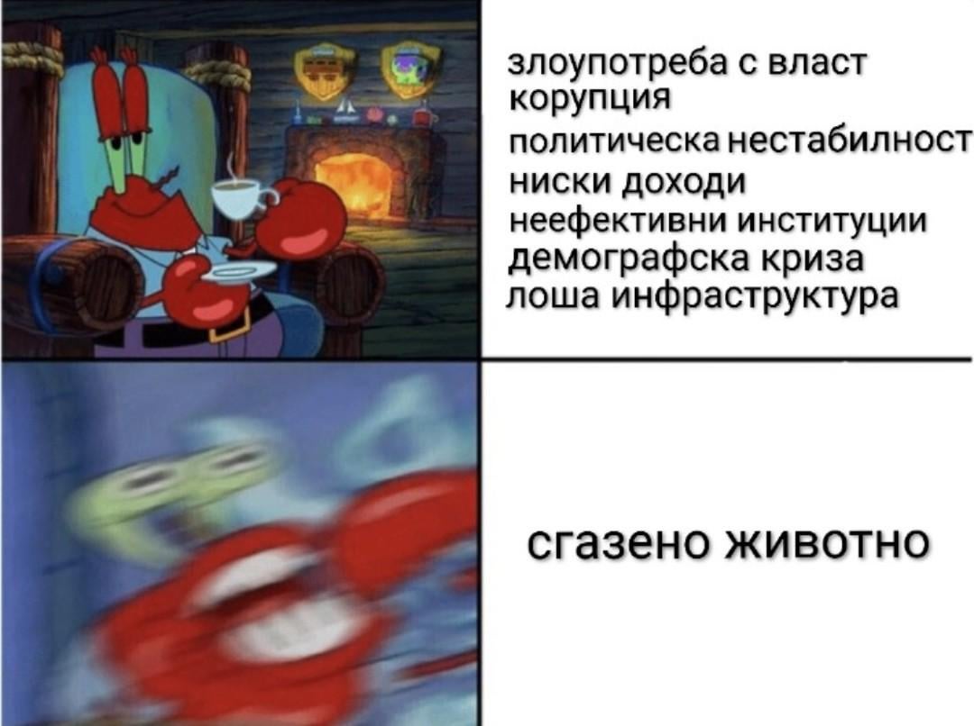 Bulgarian starter pack