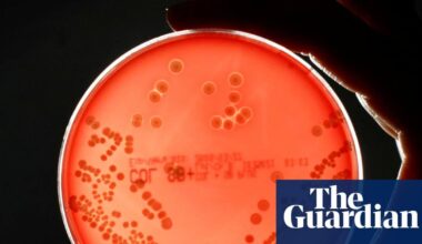 Deaths linked to antibiotic-resistant superbugs rose 17% in England in 2024