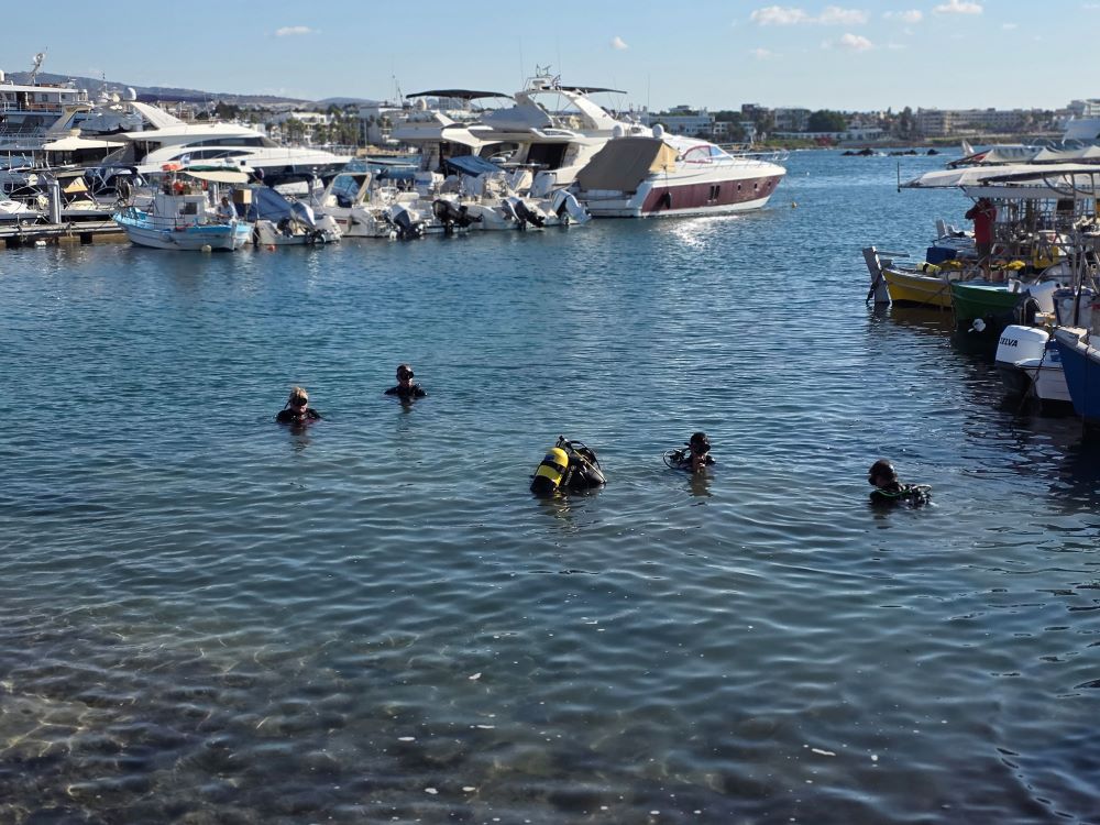 cover Paphos harbour seabed cleanup draws strong turnout