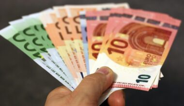 Denmark Loses Fight Over EU Wage Rules ━ The European Conservative