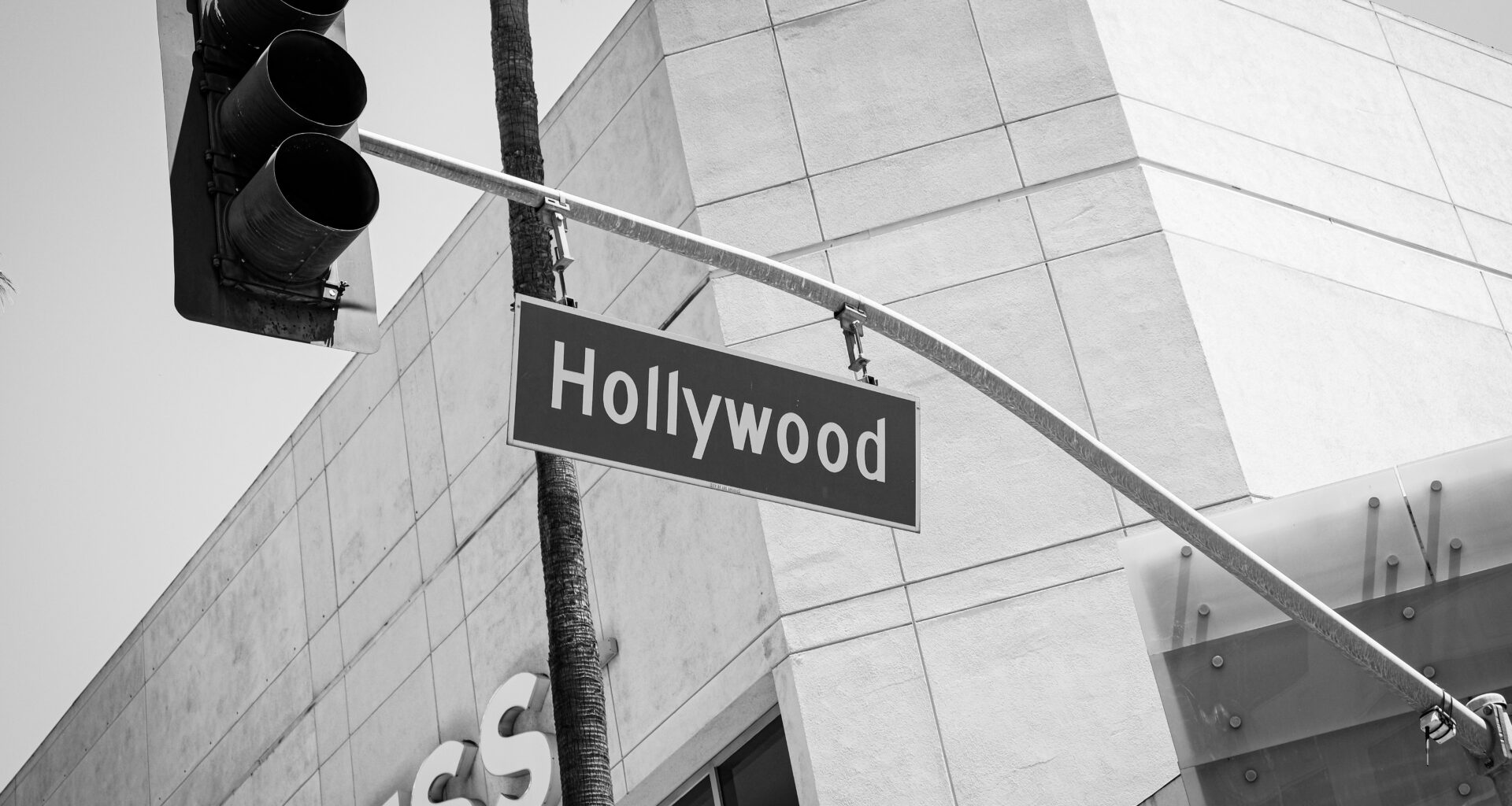 Made in Hungary: Viktor Orban and the Zsa Zsa Factor