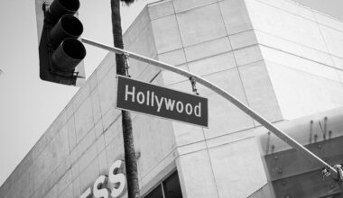 Made in Hungary: Viktor Orban and the Zsa Zsa Factor