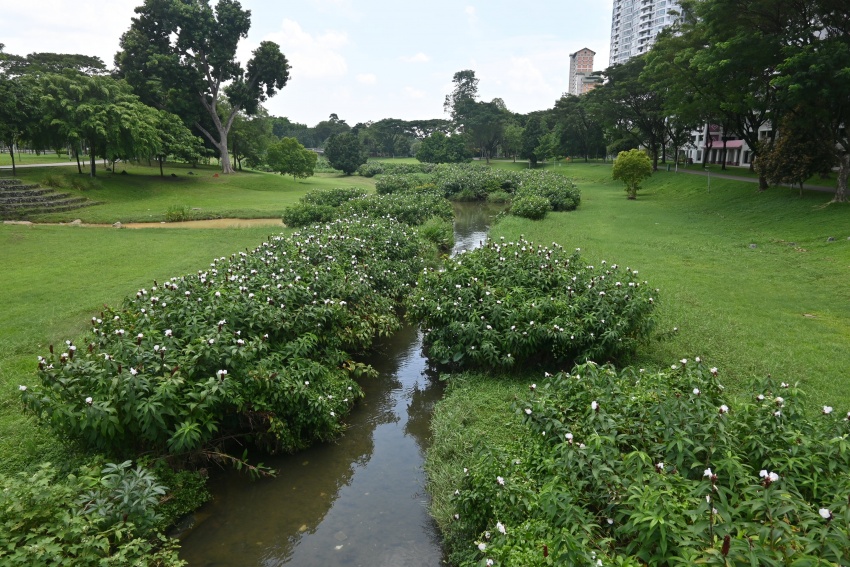 Financing the future: how EU–Vietnam cooperation can power green transformation