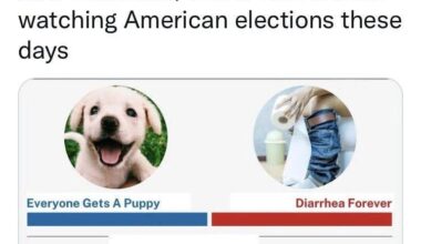 Decisions decisions...