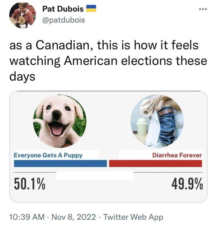 Decisions decisions...