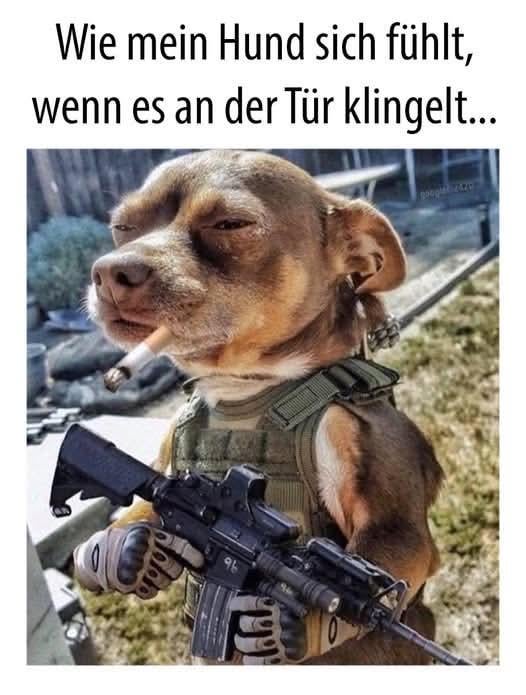 Aber echt jedes mal😅😅😅