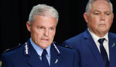 Top cop on IPCA report into handling of McSkimming