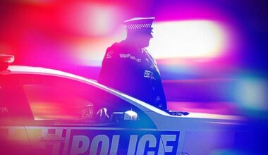 Person dies after vehicle hits tree near Wellsford