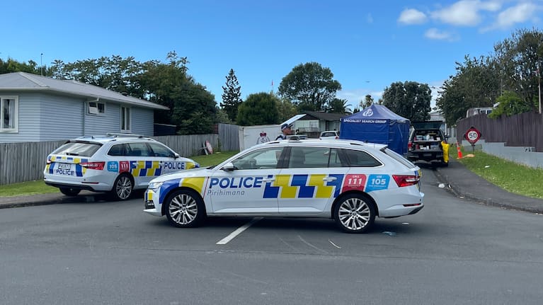 Police  at the scene of the alleged hit and run.