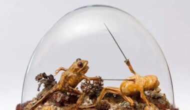 Guess in which country this was found