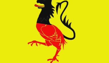 If Flanders and Wallonia merged into one country, their flag would look kinda silly