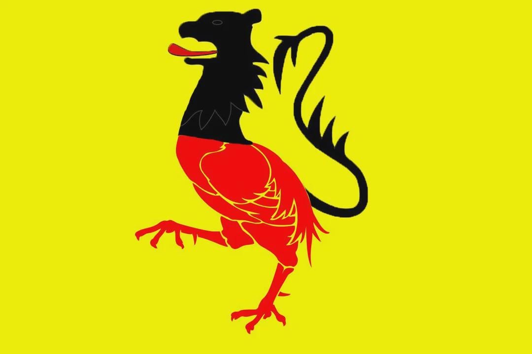 If Flanders and Wallonia merged into one country, their flag would look kinda silly