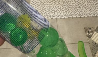 Pritarkit, nu scam’as čia