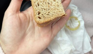 Fine dining óvoda edition. Ezt kapja ma egy óvodás uzsonnára Magyarországon. Fél szelet száraz toast kenyér,egy szerencsétlen zöldpaprika gerezdkével.