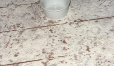 Opdatering: [Nisser på loftet]