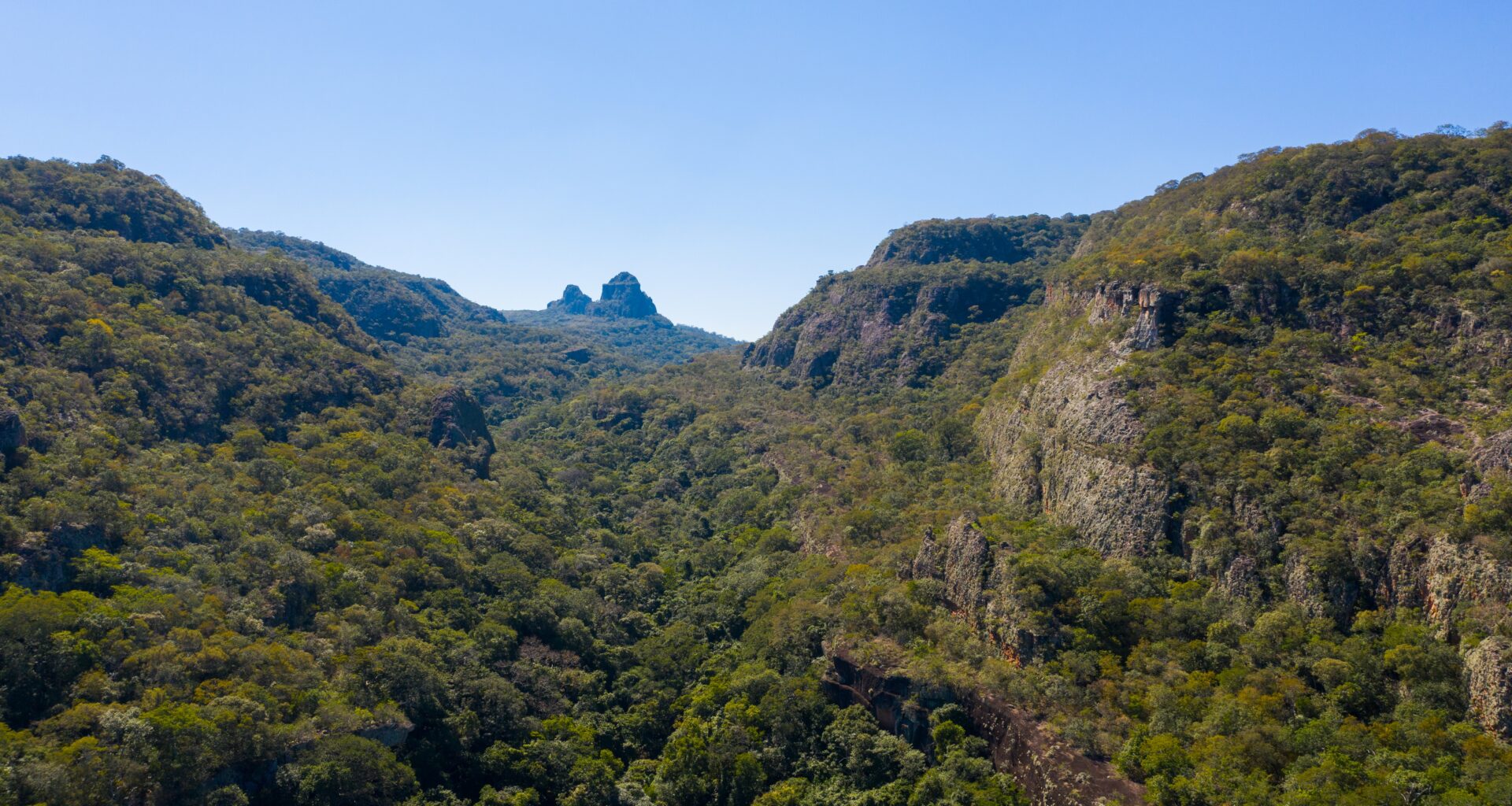 Chiquitano Dry Forest