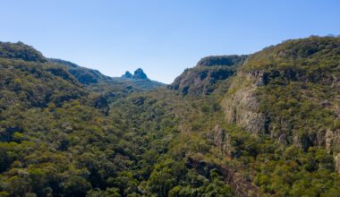 Chiquitano Dry Forest
