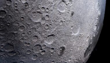 Shooting For The Moon