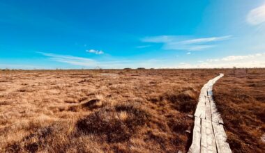 Monotone Mondlandschaften haben auch ihren Charme