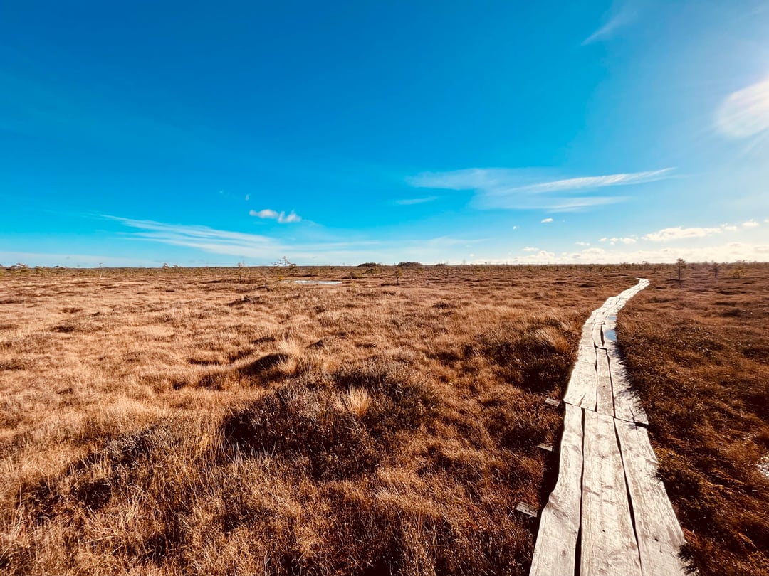 Monotone Mondlandschaften haben auch ihren Charme