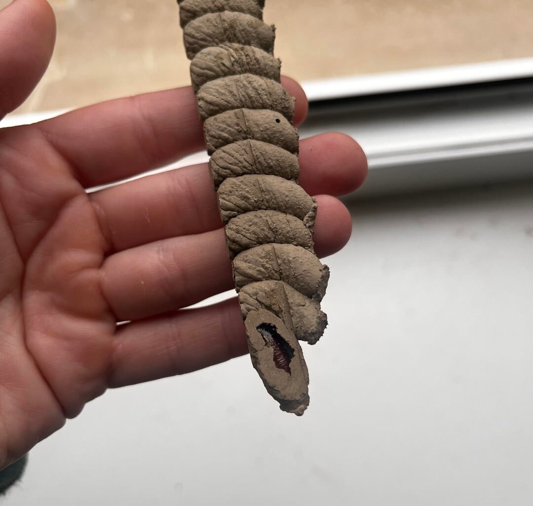 Wie sicher überwintern?