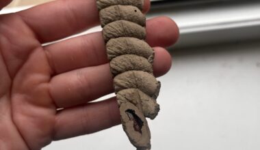 Wie sicher überwintern?