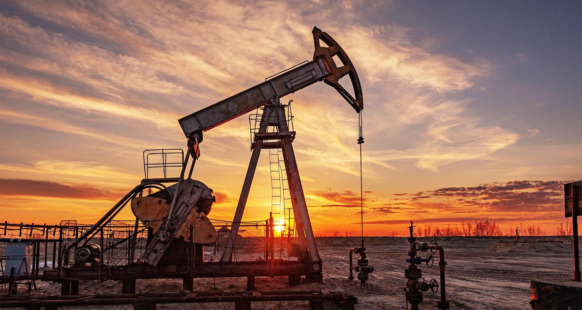 COP30 warning: Countries are leaning on forests instead of cutting fossil fuels