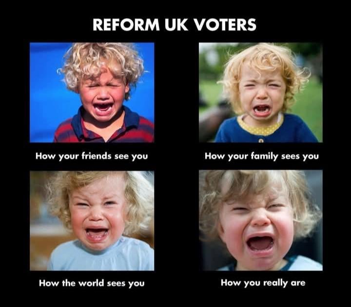 Reform UK voters