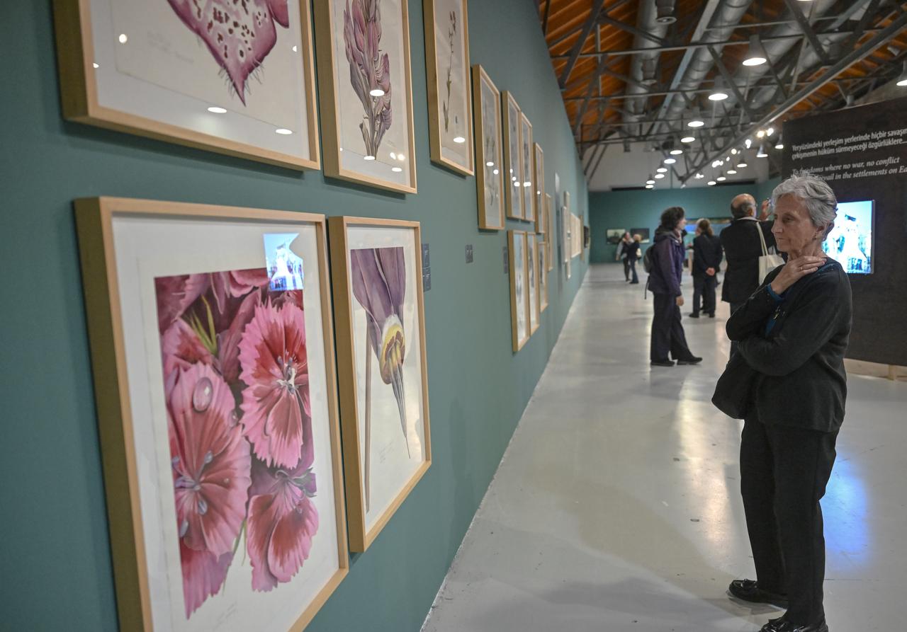 Visitors examine botanical themed artworks displayed along the gallery wall during the Rewind/Slovenia exhibition at CerModern in Ankara, Türkiye, November 6, 2025. (AA Photo)