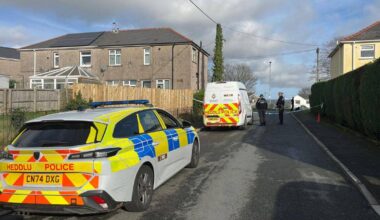 Girl, 17, stabbed to death and mother injured in horror attack