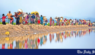 Transitional solutions for refugee protection through the lens of the Rohingya crisis