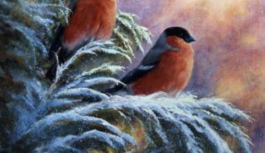 Passade på att måla två domherrar i vinterskrud lagom till första advent. Önskar er alla en trevlig advent.