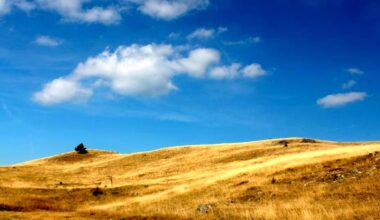 Tramonta l’ipotesi di una tappa del Giro d’Italia tra Valtrebbia e Valnure