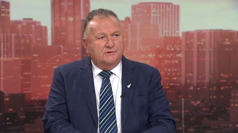 Minister for Resources Shane Jones.