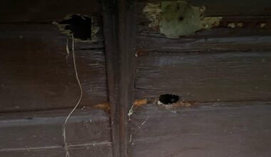 Flicken/füllen möglich?