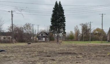 Detroit nonprofit working with environmental group to transform vacant lot into green space