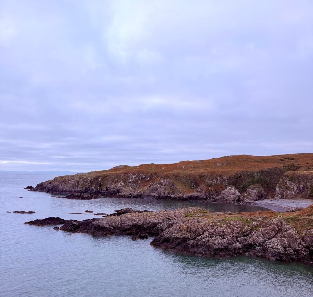 Just a couple of pictures