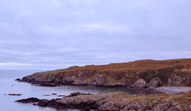 Just a couple of pictures