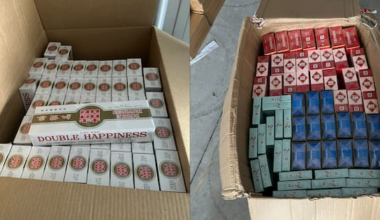 1.5 million illicit cigarettes seized in raids across Auckland