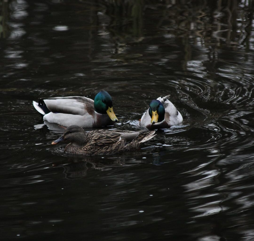 Resultate meiner heutigen Wanderung