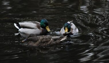 Resultate meiner heutigen Wanderung