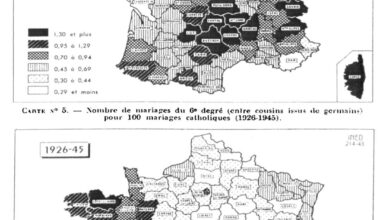 Une carte de la consanguinité en Rance entre 26-45 !