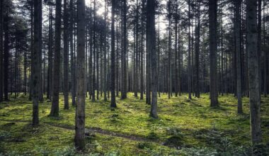 Undervurderet steder i Danmark