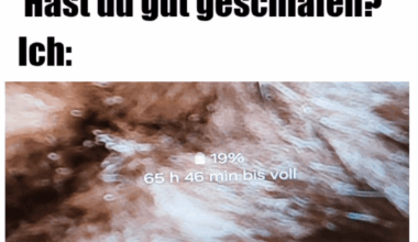 Ich_iel