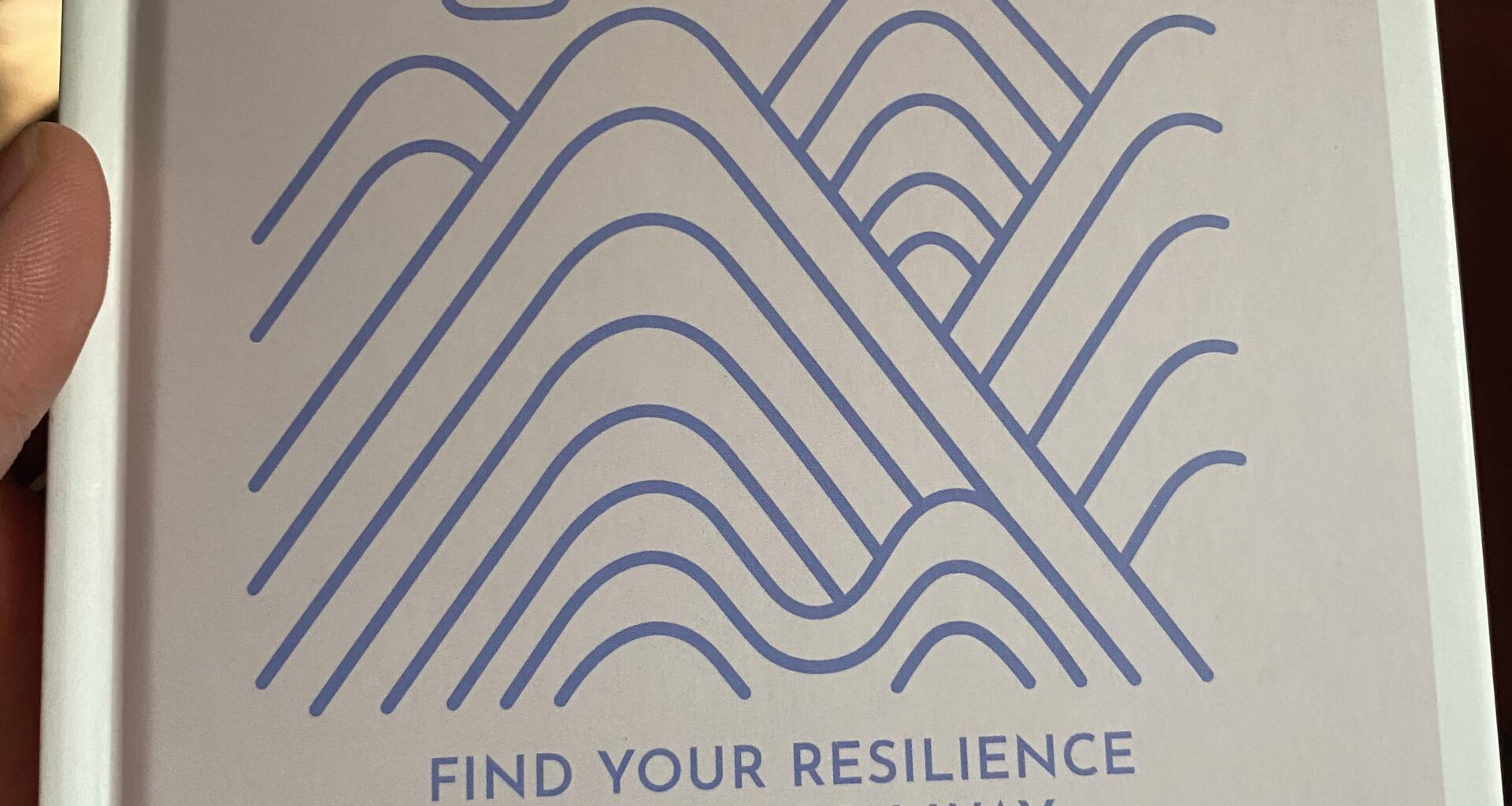 What do Finnish people think of Finnish descendants outside Finland? 🇫🇮