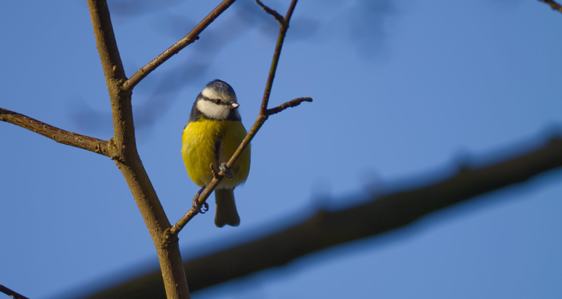 Helmuts Kollege Norbert ist auch da.