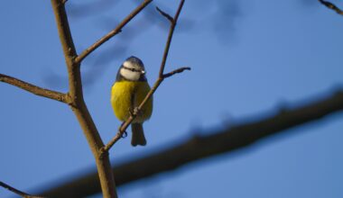 Helmuts Kollege Norbert ist auch da.