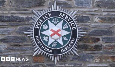 Two arrested after woman repeatedly hit on the head with a hammer