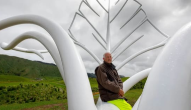 How to get close to Gareth Morgan's giant Transmission Gully sculptures