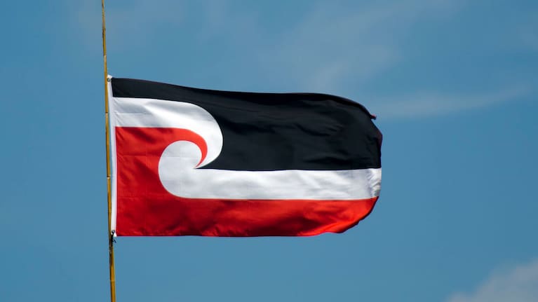 The Tino Rangatiratanga flag.